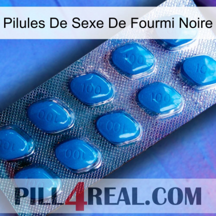 Black Ant Sex Pills viagra1
